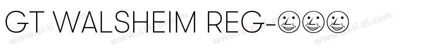 GT WALSHEIM REG字体转换 GT WALSHEIM REG字体转换